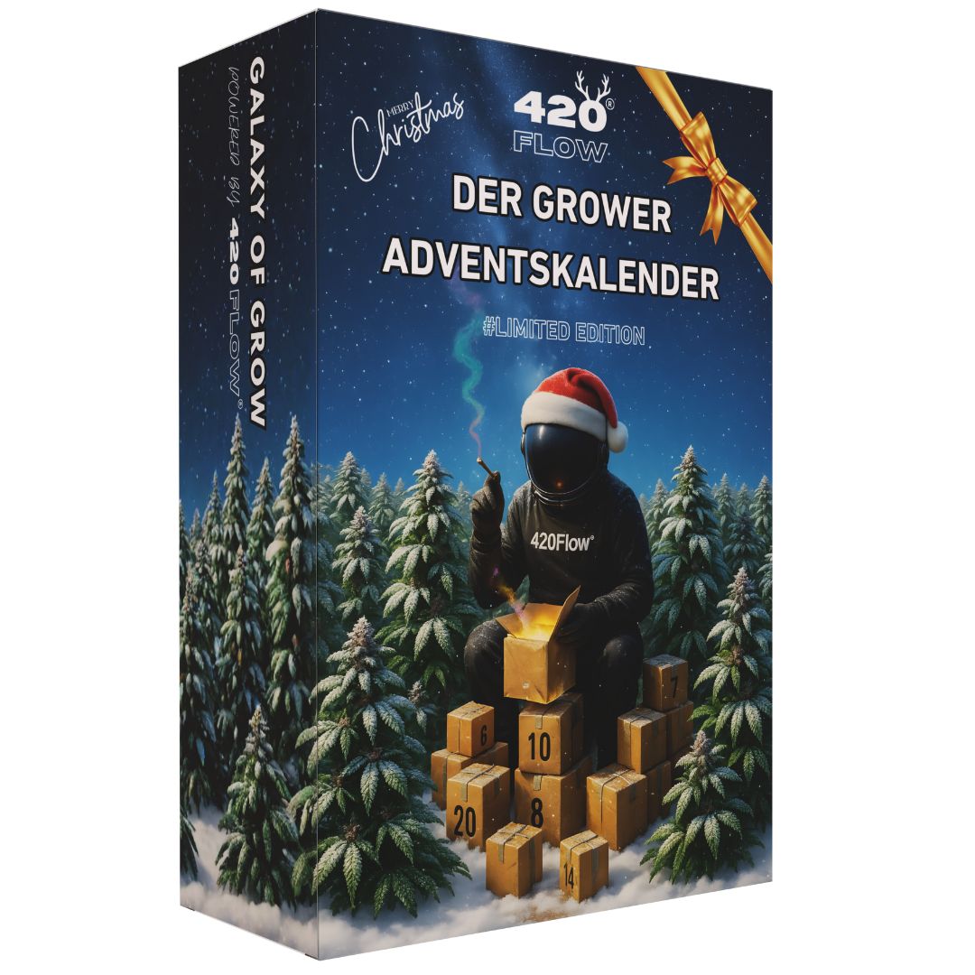 Der Adventskalender