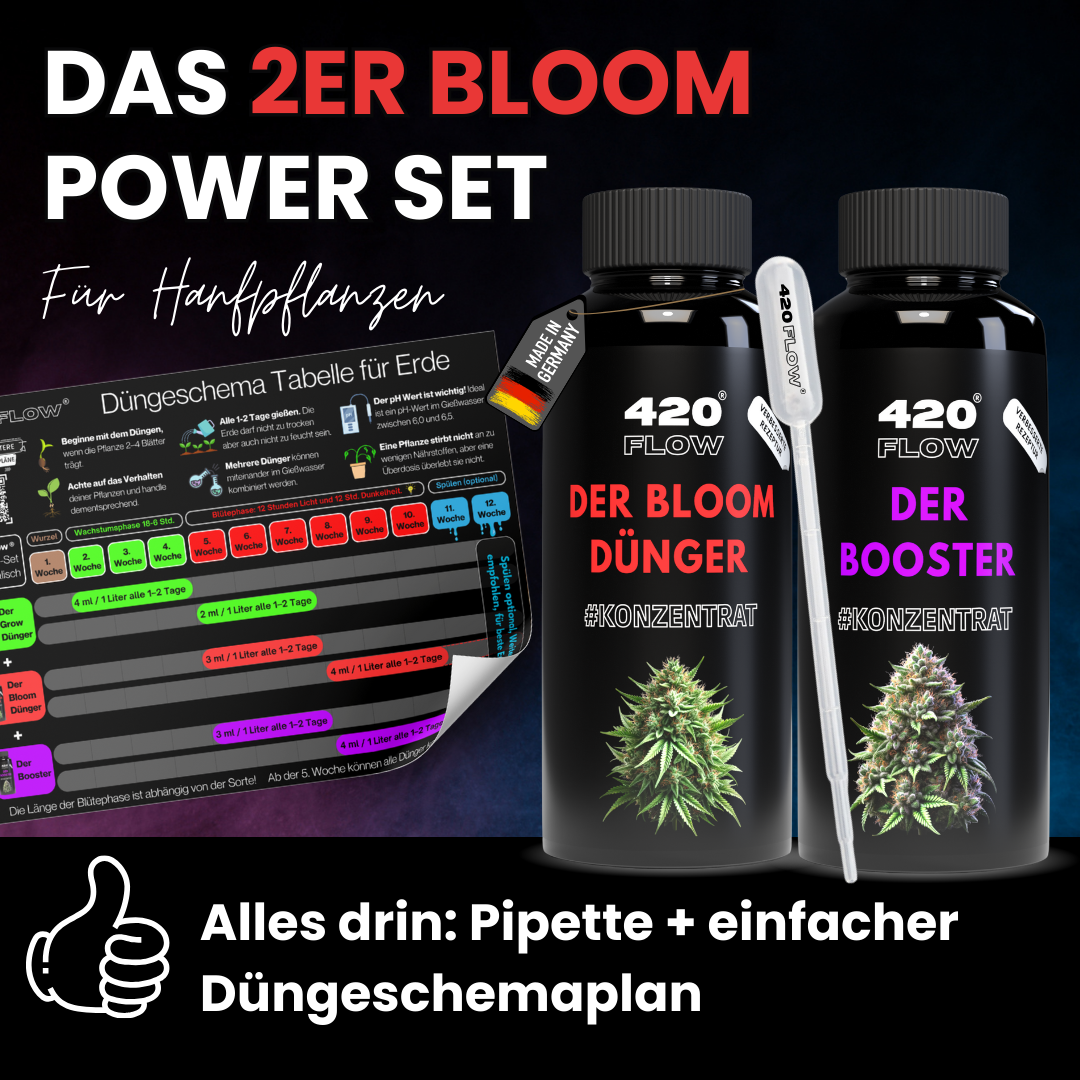 Das Set Bloom + Booster