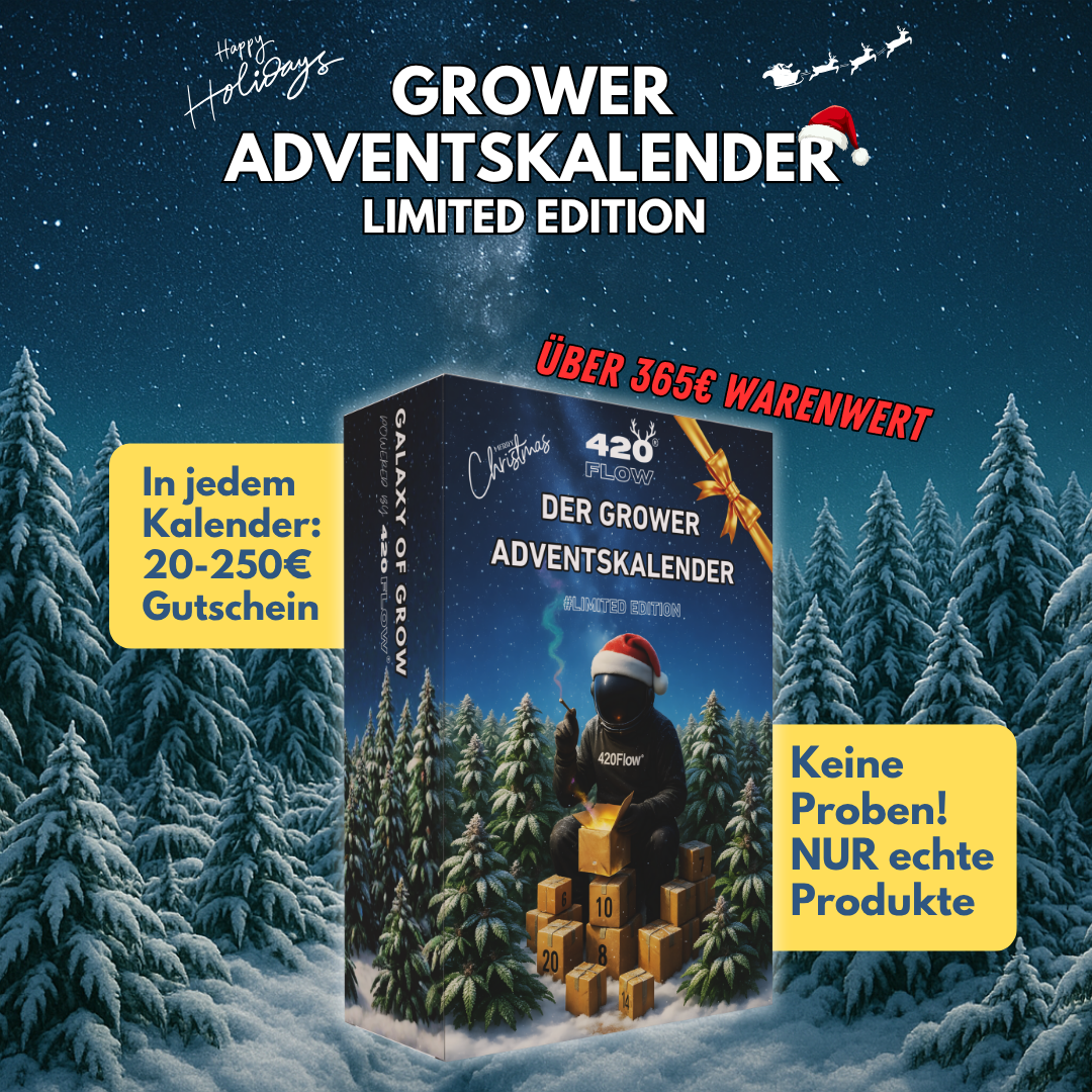 Der Adventskalender