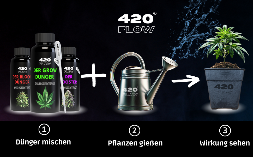 420flow Cannabis-Dünger-Set im Anwendungsschritt: Dünger mischen, Pflanzen gießen, Wachstum fördern