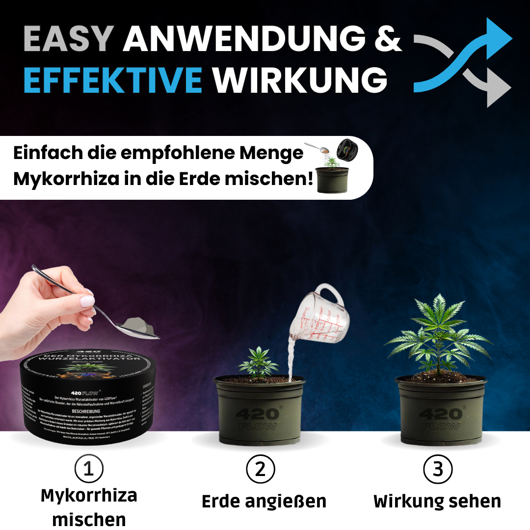 Der Mykorrhiza Wurzelaktivator