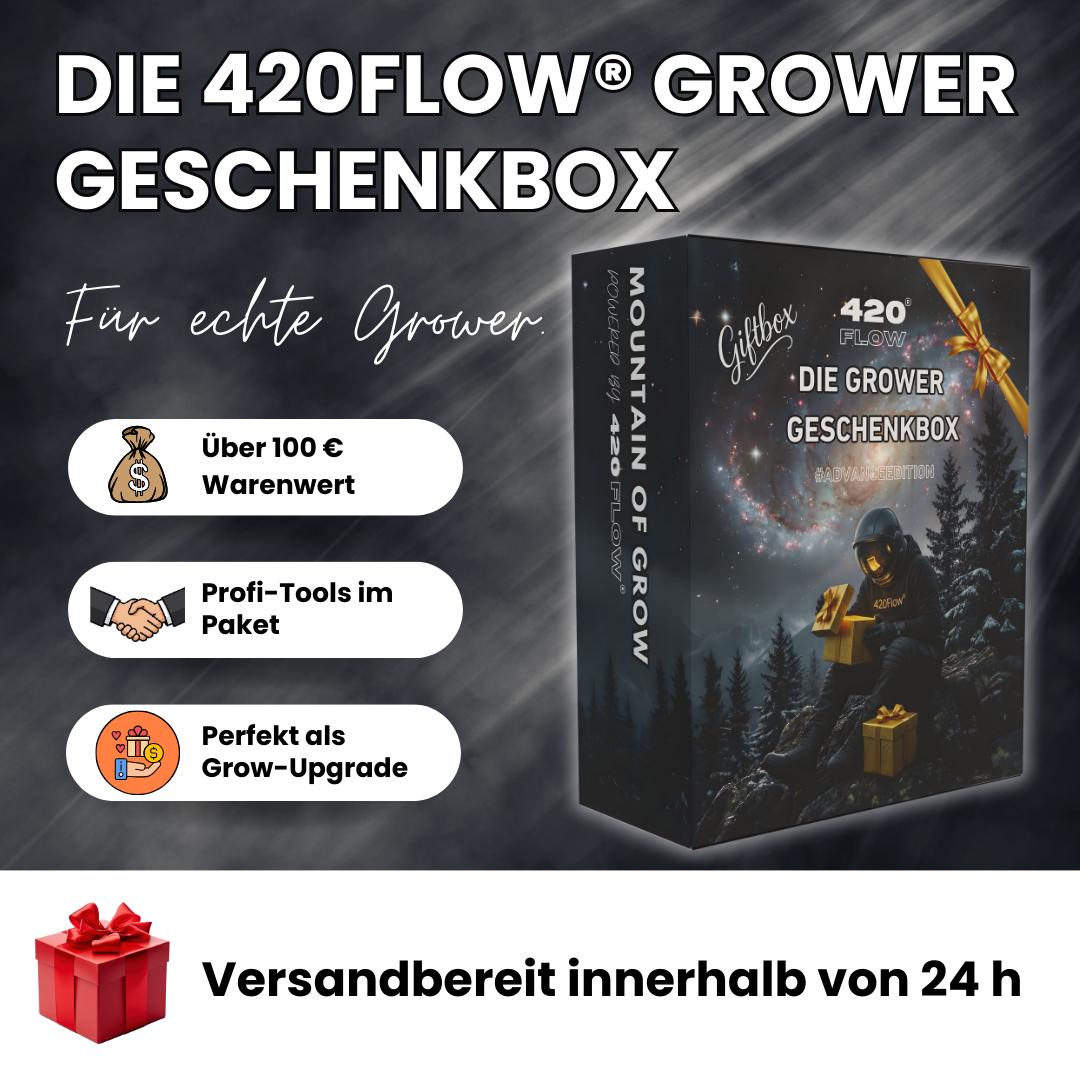 Die Grower Geschenkbox M