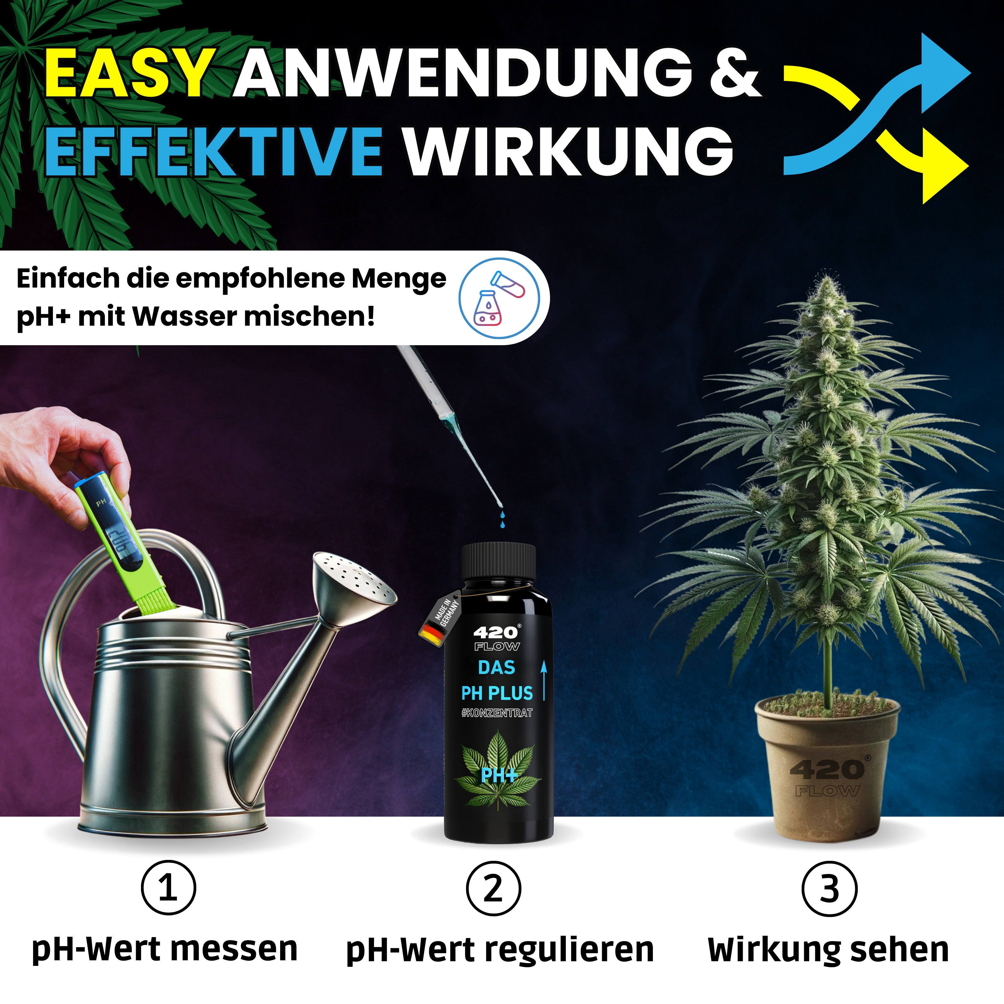 Das pH Minus & pH Plus Konzentrat Set