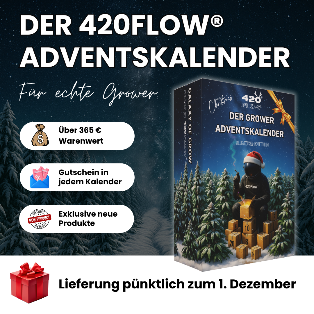 Der Adventskalender