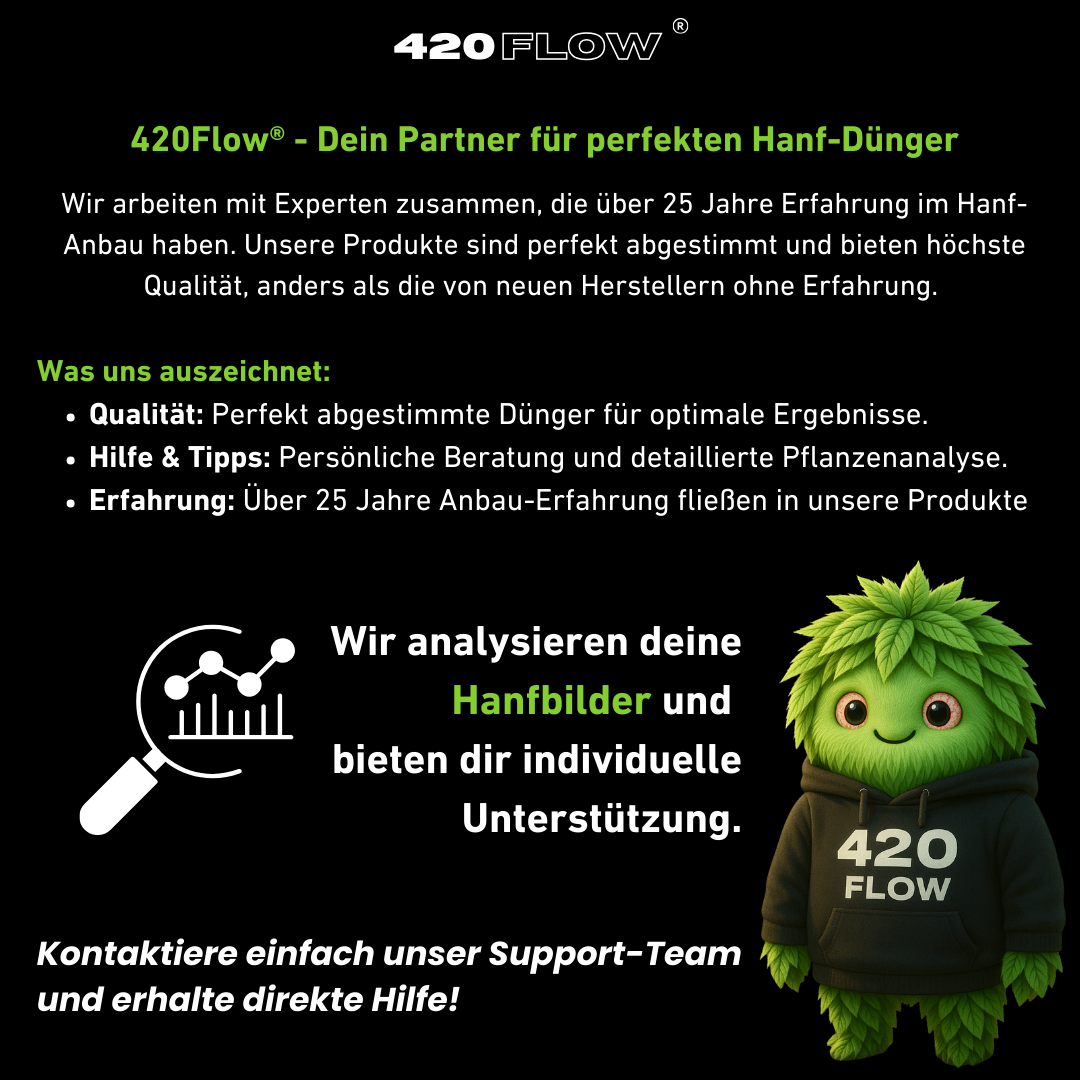 Das Set Bloom + Booster