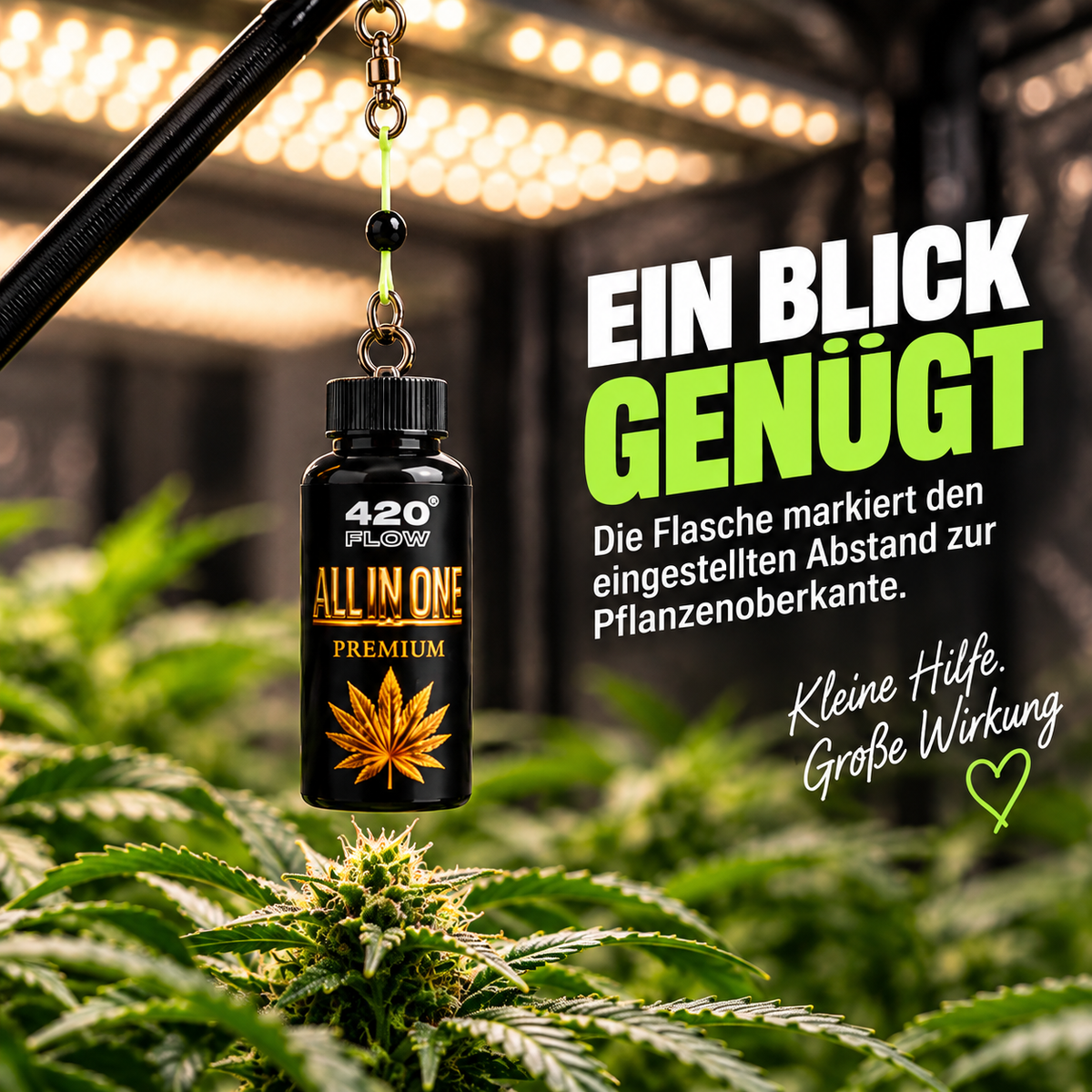 Der GrowNaut