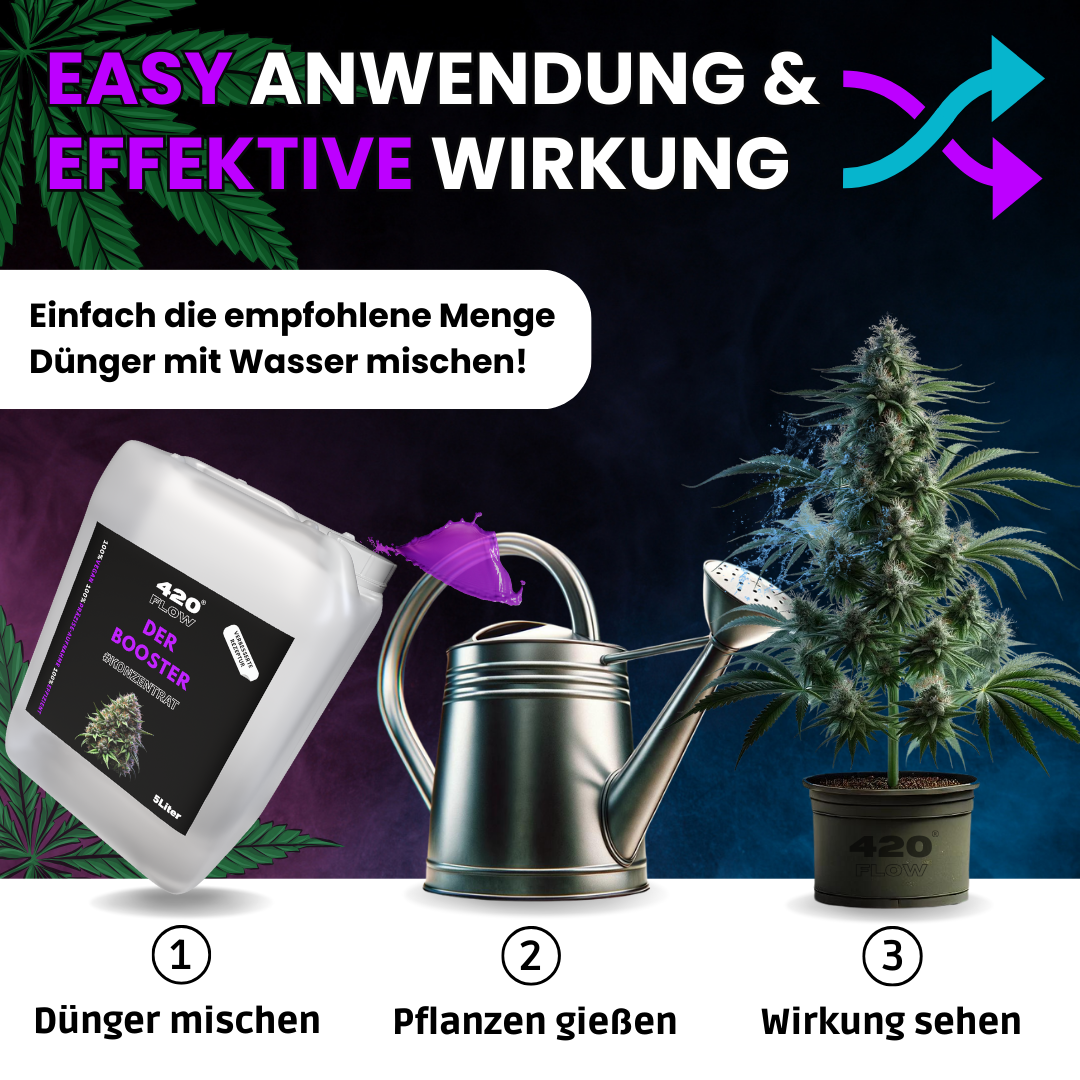 420flow Booster im 5L-Kanister – einfach mischen, gießen und das Wachstum deiner Hanfpflanzen sichtbar steigern
