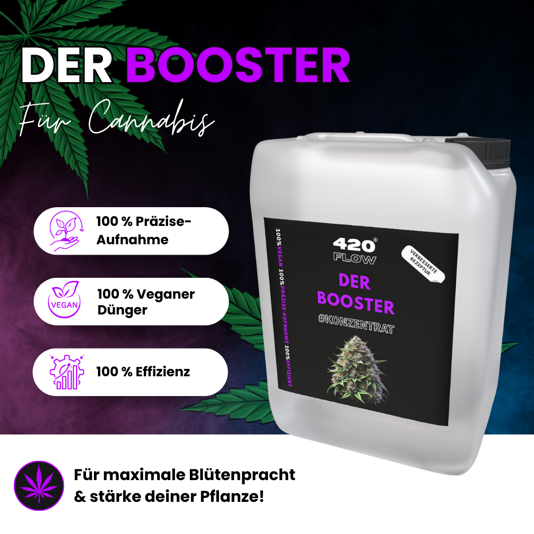 420flow Booster im 5 L-Kanister für Cannabis – veganer Dünger mit präziser Nährstoffaufnahme und maximaler Effizienz