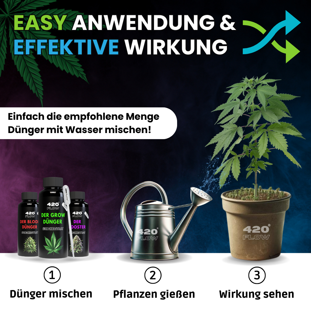Einfache Anwendung von Cannabis Dünger: Mischen, gießen, Wirkung sehen – ideal für Grow-Anfänger mit Starter-Set für Hanfpflanzen