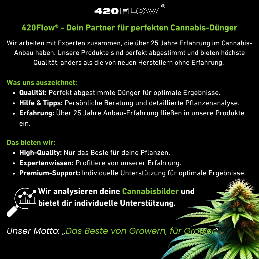 420flow bietet hochwertigen Hanfdünger mit Expertenberatung, Pflanzenanalyse und individuellem Grow-Support