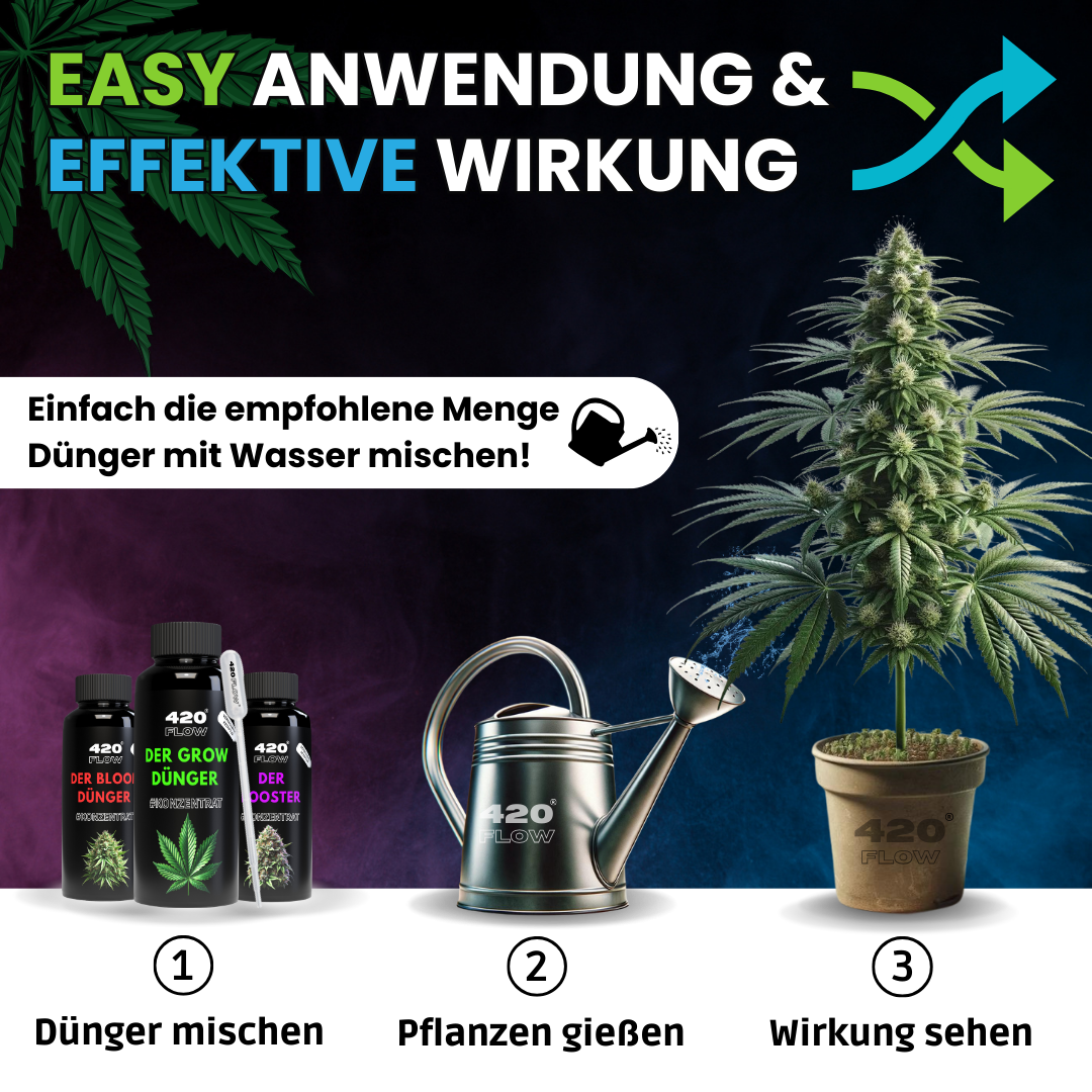 420flow Anleitung: Cannabis-Dünger mischen, gießen und Wirkung sehen – einfache Anwendung mit sichtbarem Ergebnis
