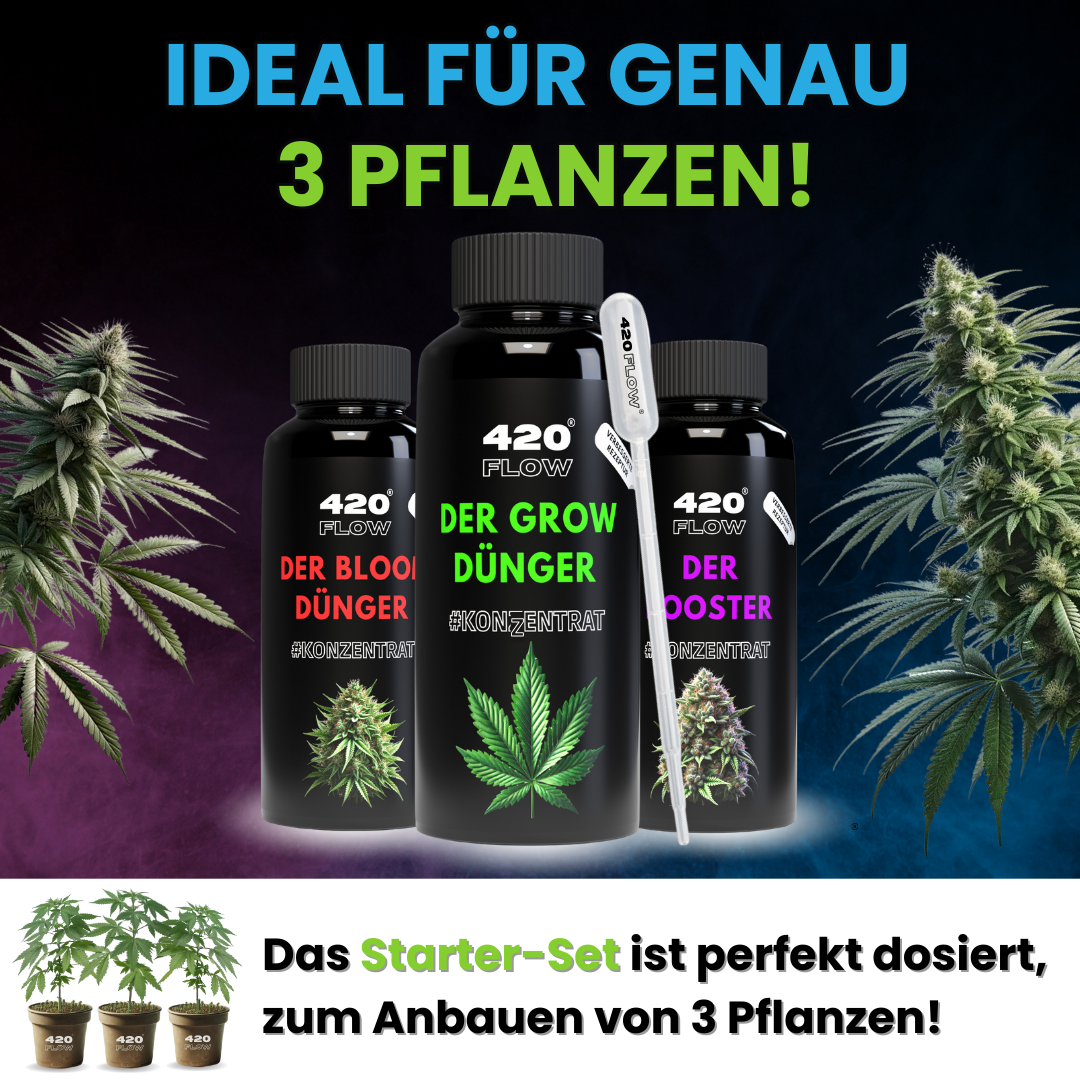 420flow Starter-Set mit Cannabis-Dünger, ideal dosiert für den Anbau von exakt 3 Pflanzen