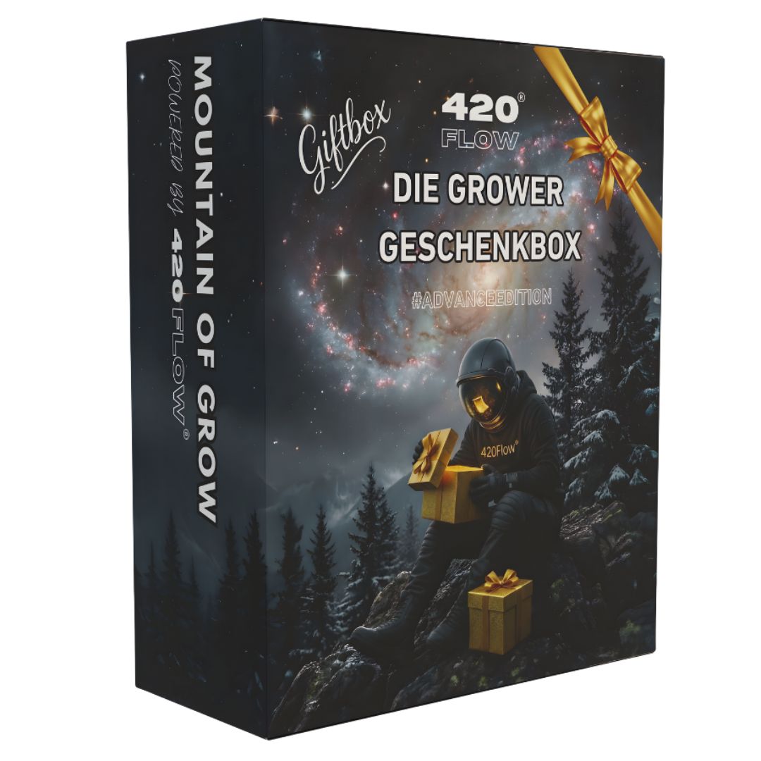 Die Grower-Geschenkbox von 420Flow im Geschenk-Karton mit goldener Schleife