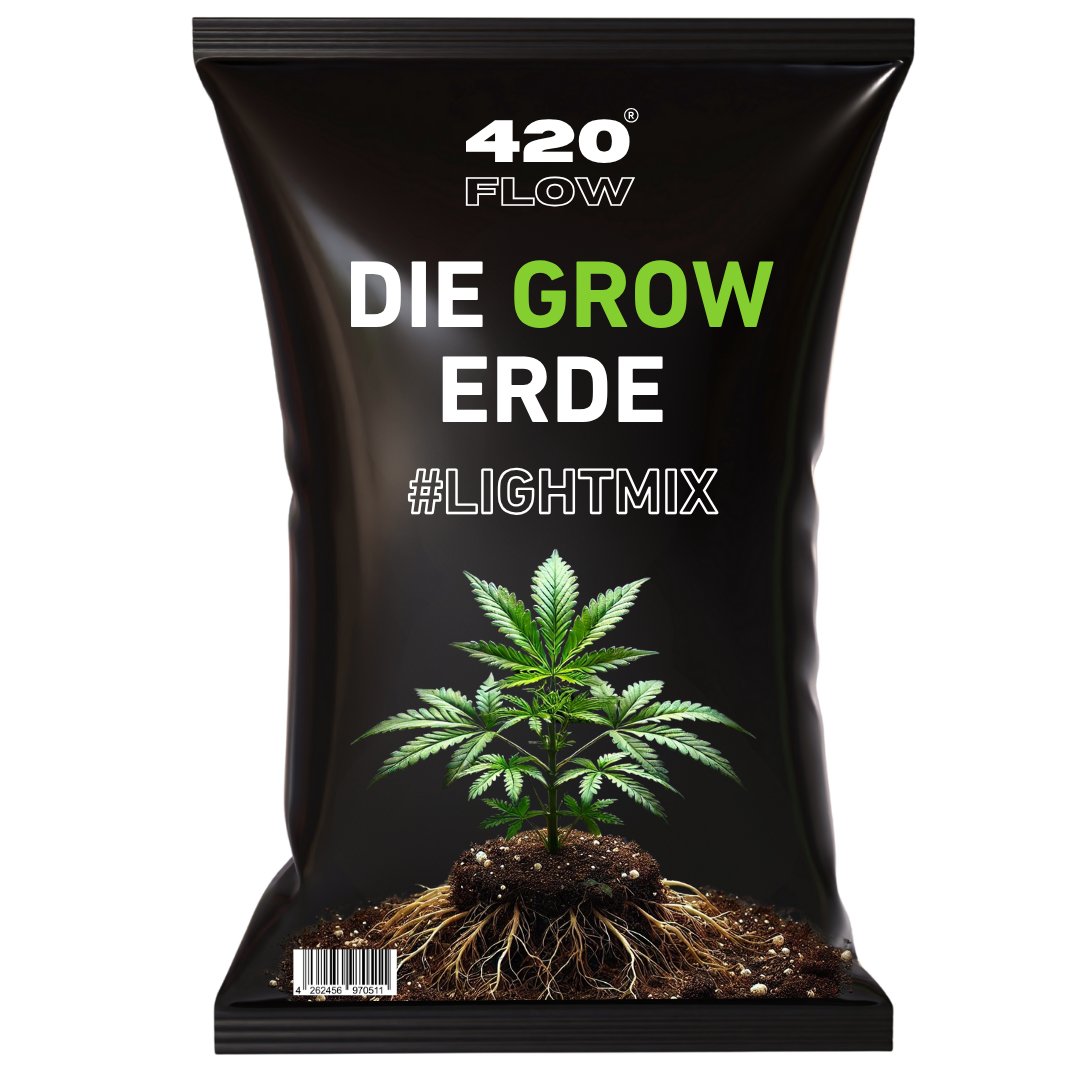 Der Adventskalender + Grow Erde
