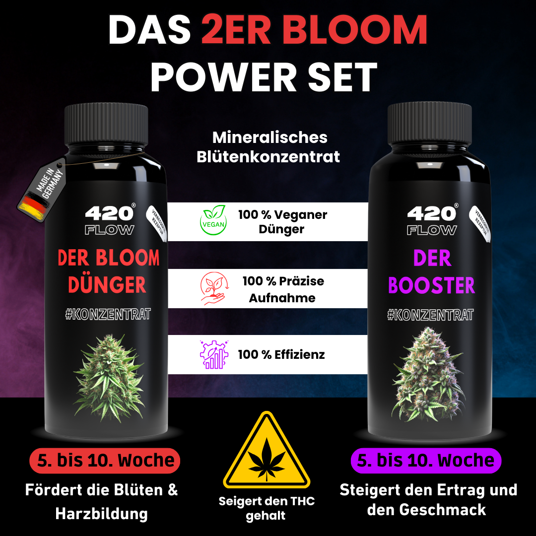 Das Set Bloom + Booster