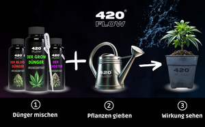 420flow Cannabis-Dünger-Set im Anwendungsschritt: Dünger mischen, Pflanzen gießen, Wachstum fördern