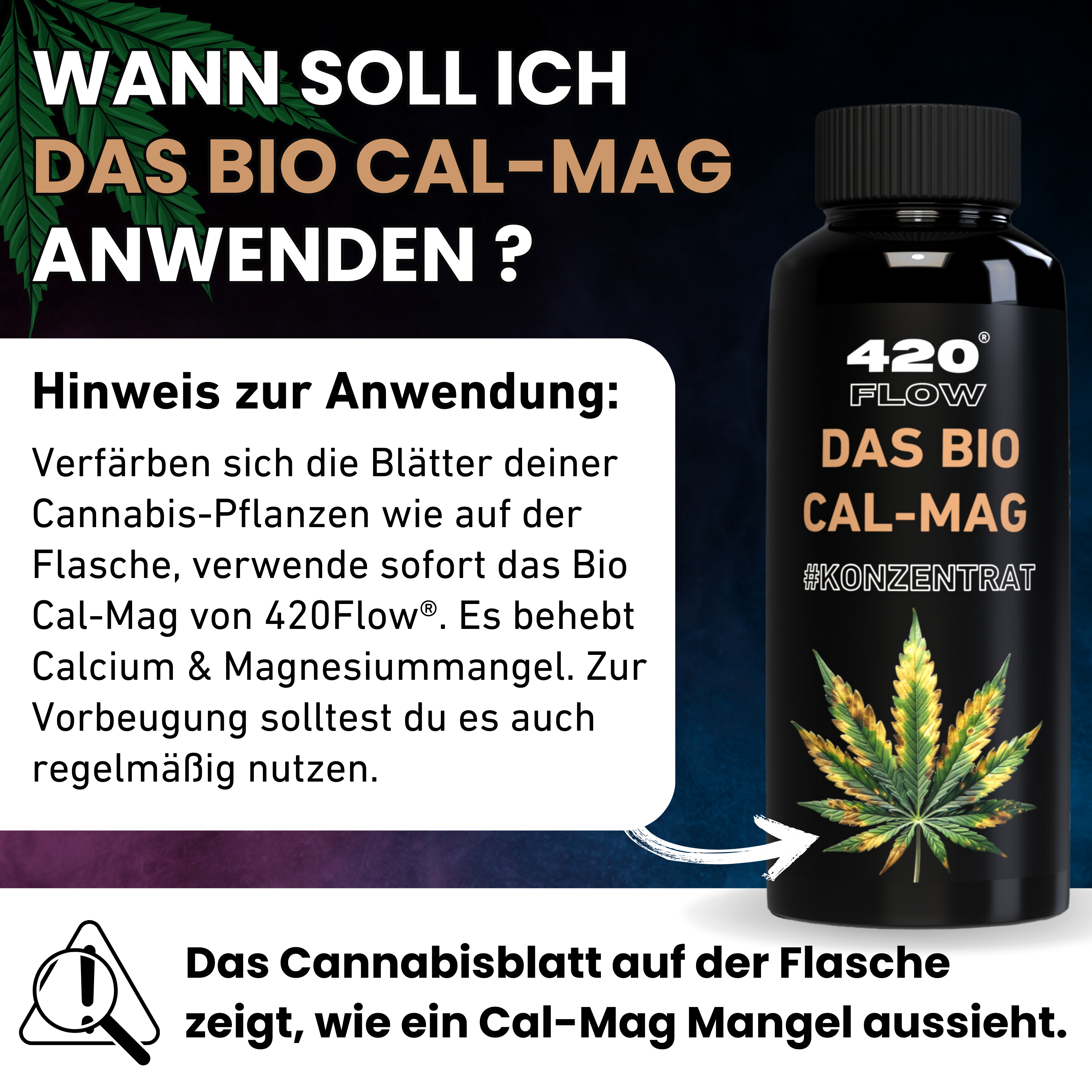 Das Bio CalMag - Calcium- und Magnesium