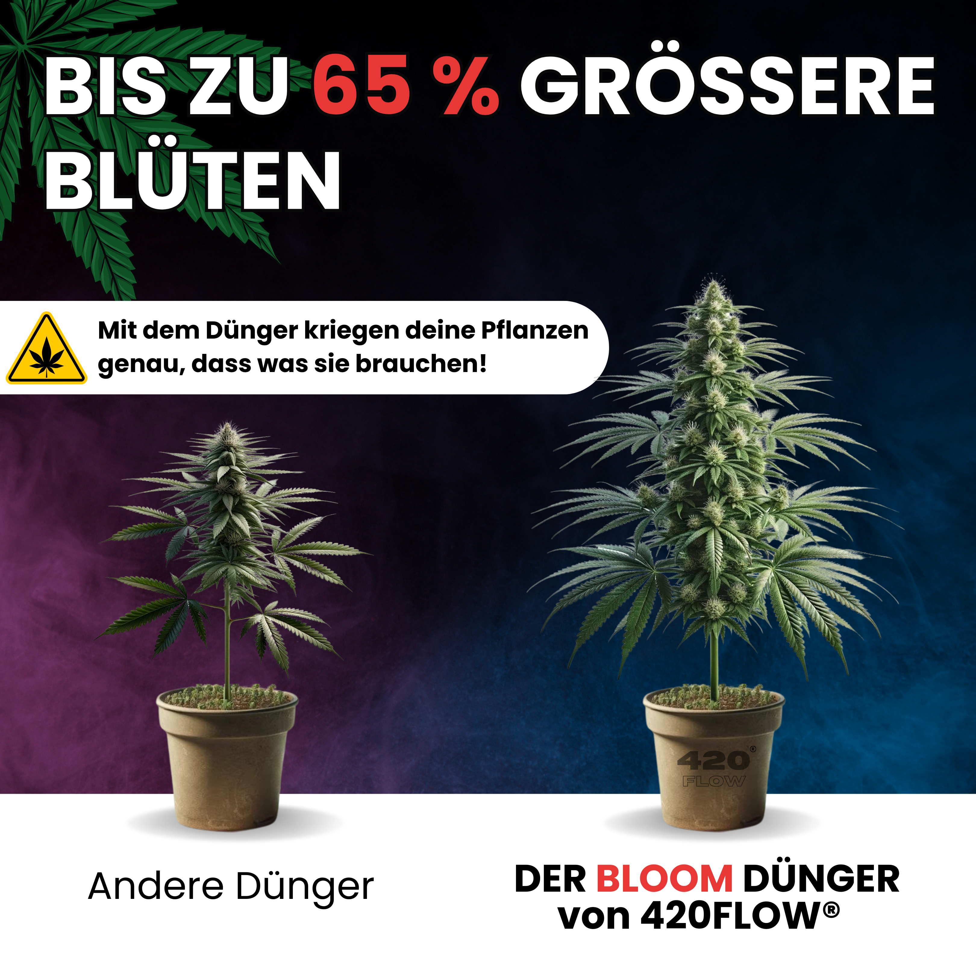 Der Bloom Dünger