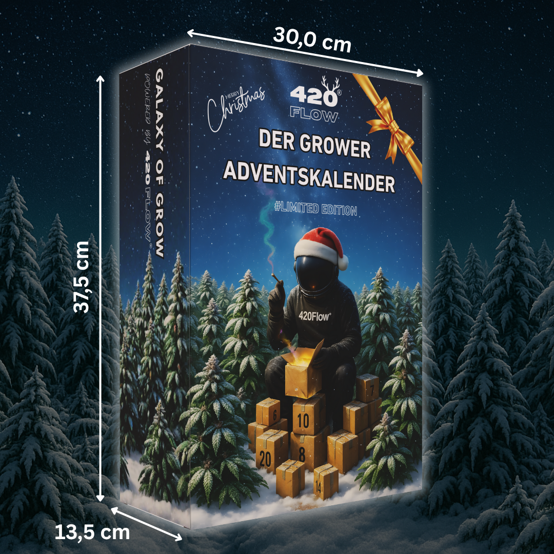 Der Adventskalender
