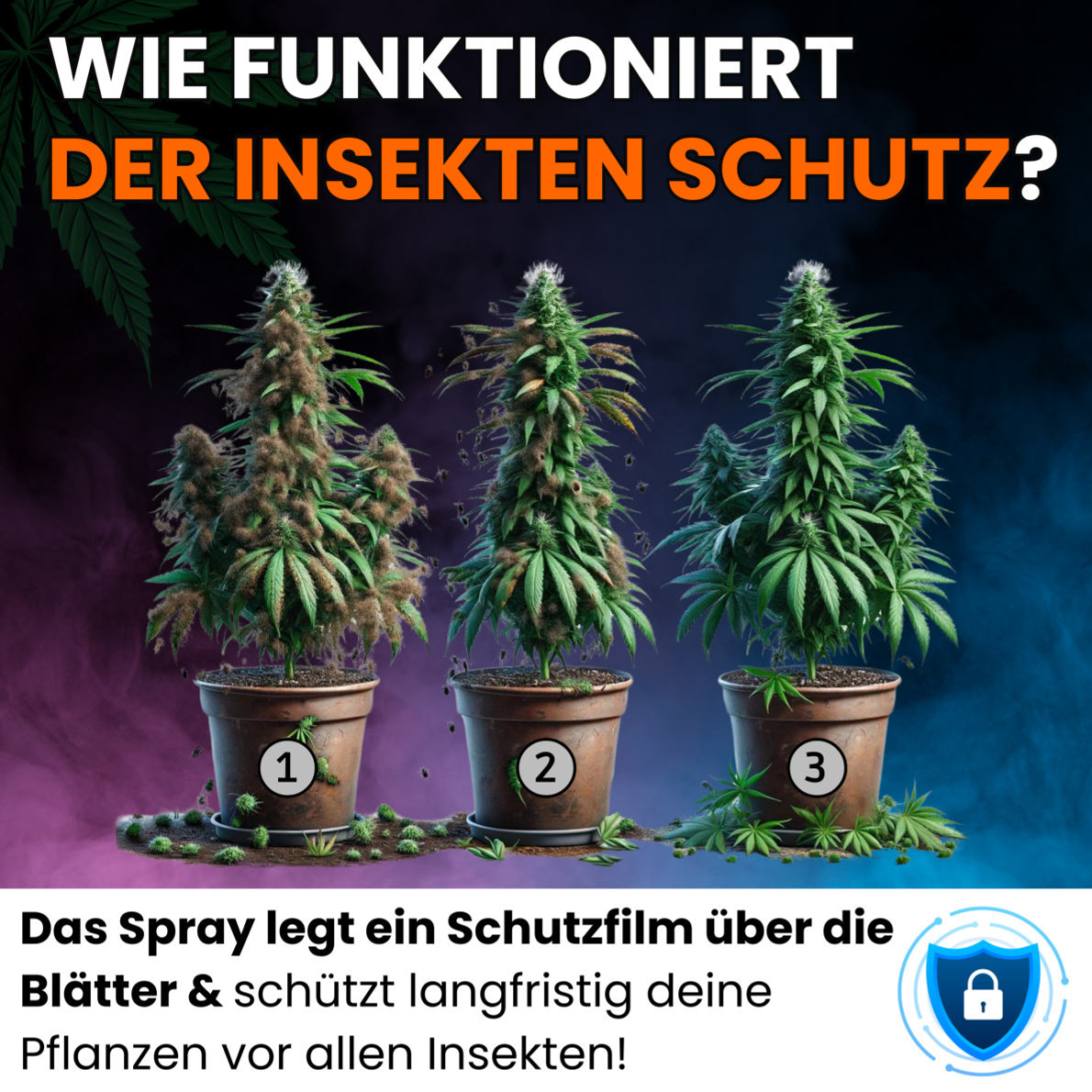 Der Insektenschutz - Neemöl Spray