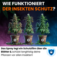Das Insektenspray - Neemöl Spray