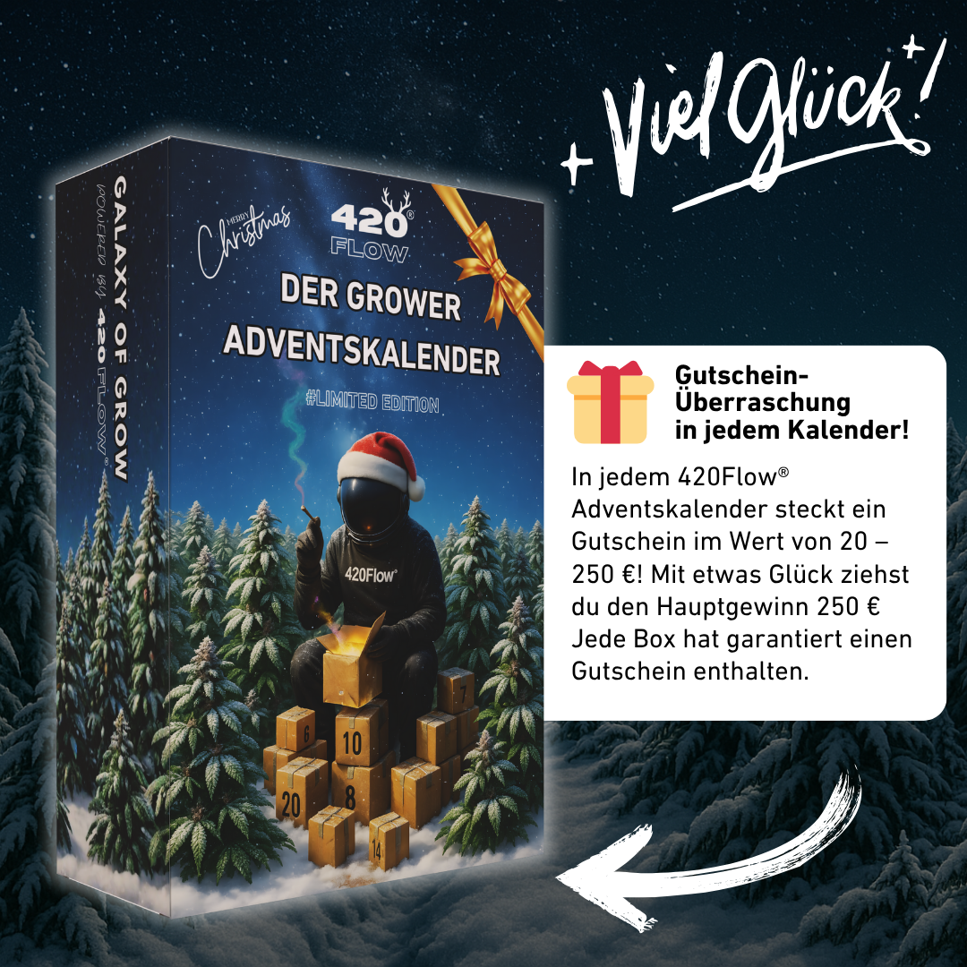 Der Adventskalender