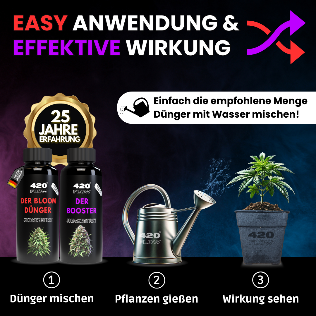 Das Set Bloom + Booster