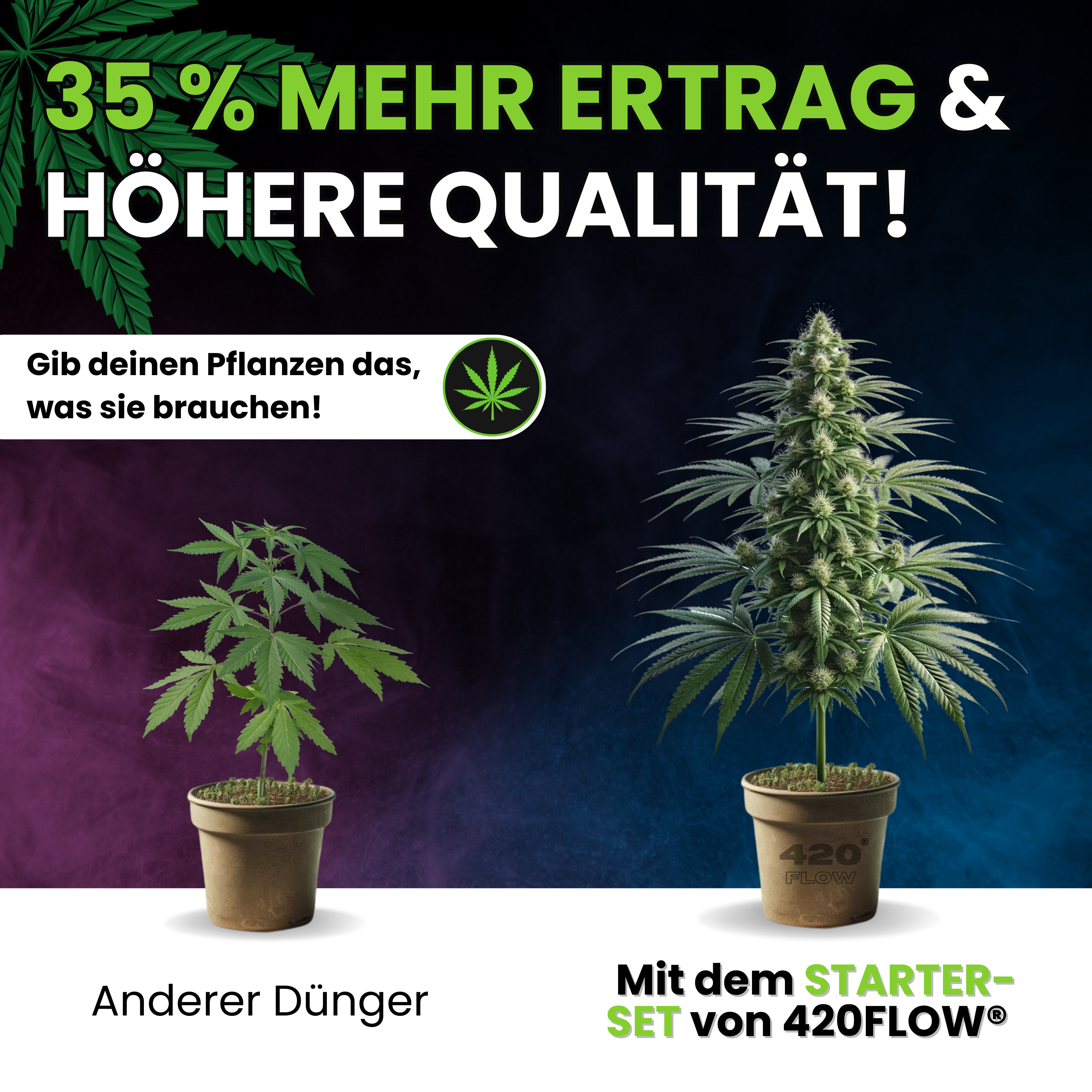 Das Starter Set Grow, Bloom & Booster