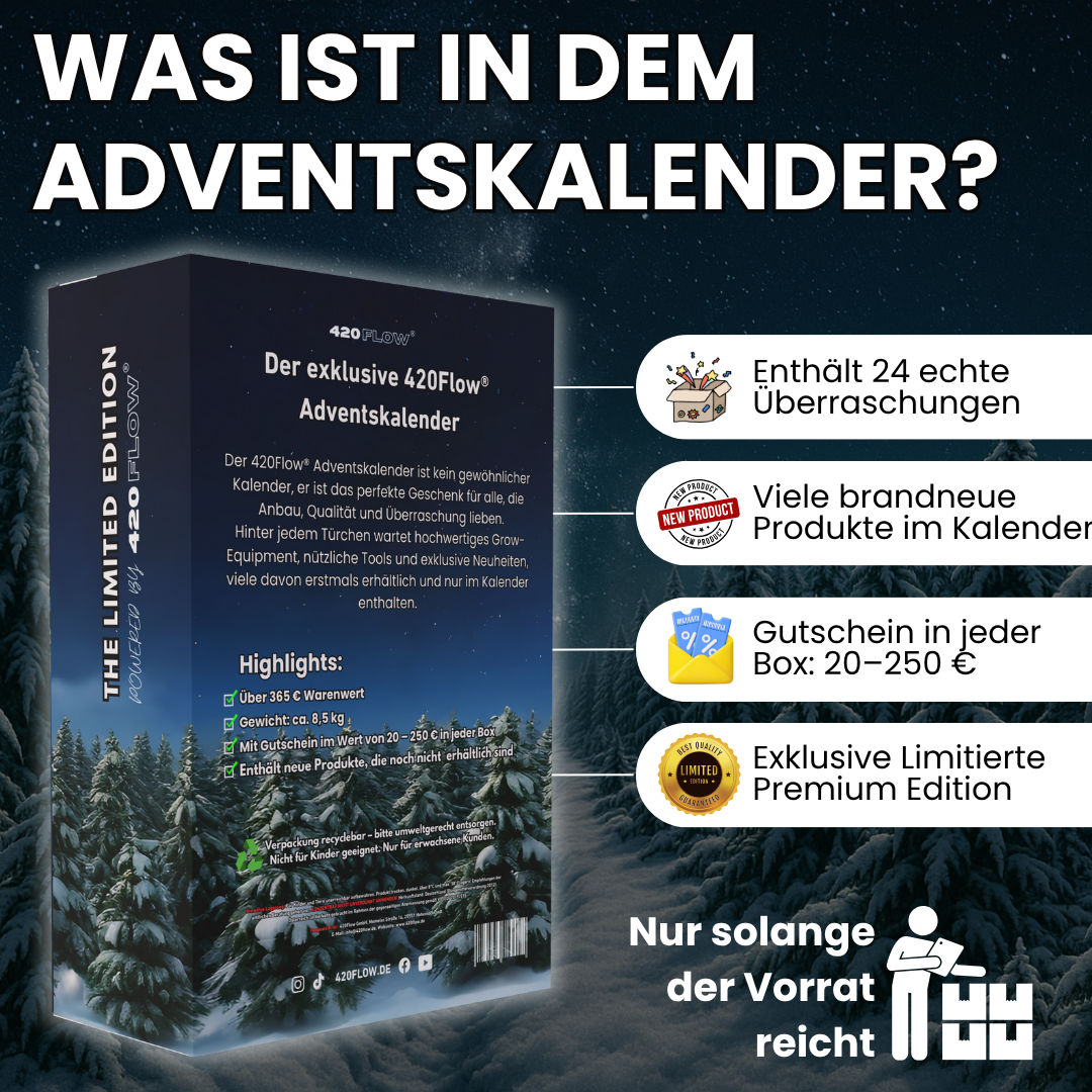 Der Adventskalender