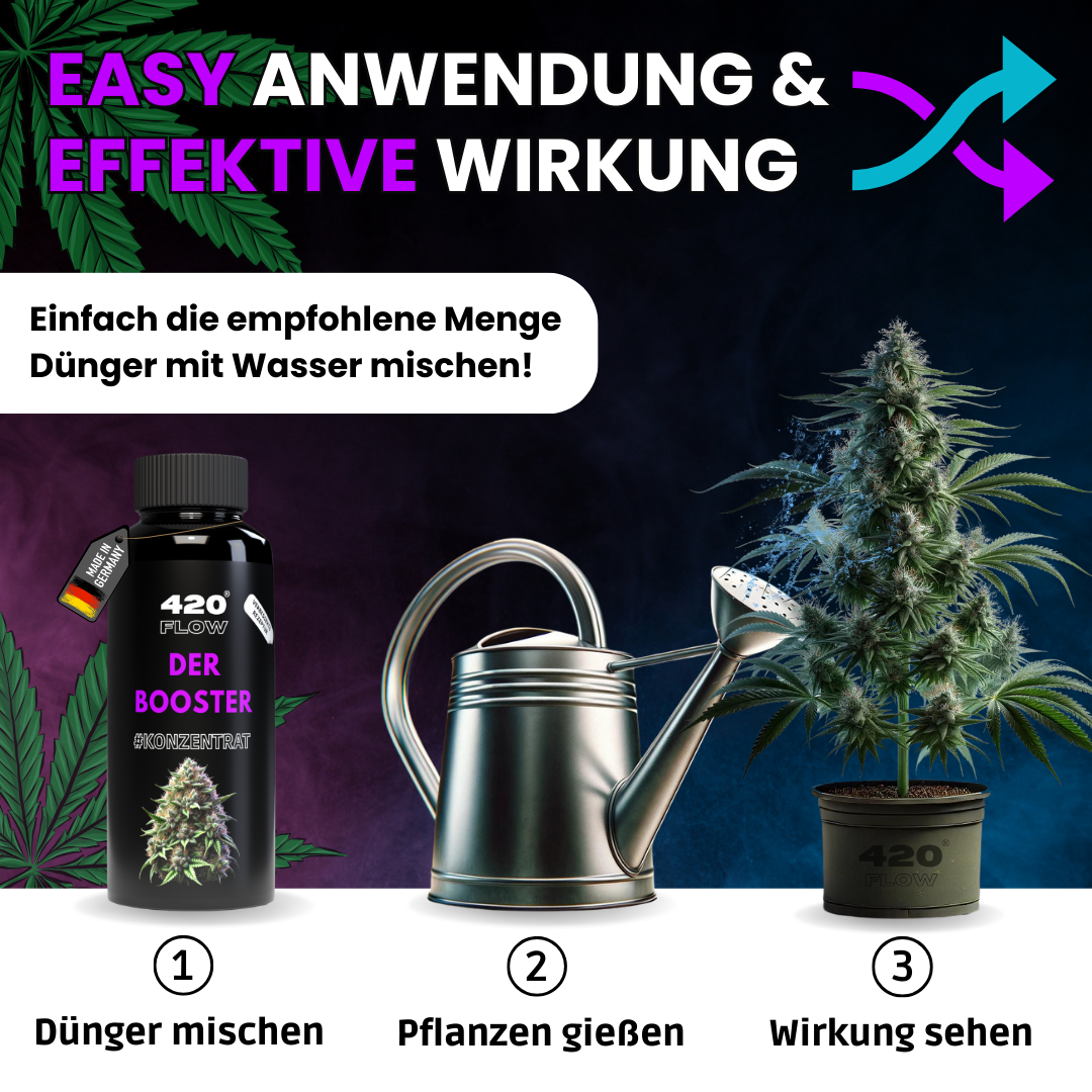 420flow Booster-Dünger einfach anwenden: mischen, gießen und starke Wirkung an deiner Hanfpflanze sehen