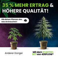 Vergleich: 420flow Starter-Set vs. anderer Hanfdünger – bis zu 35 % mehr Ertrag & bessere Blütenqualität